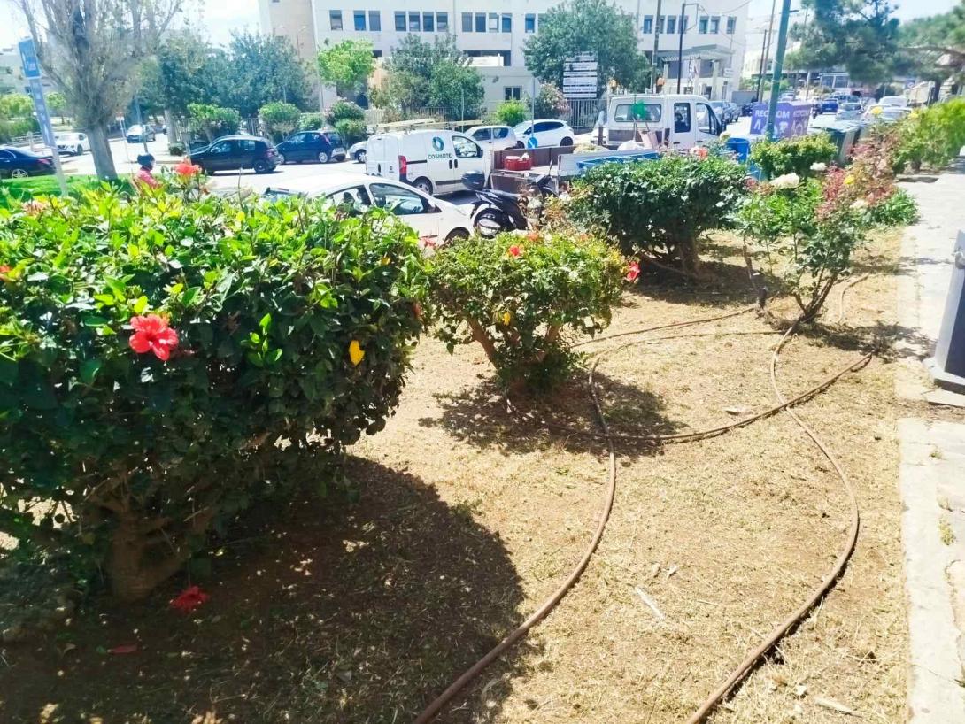 αγιος νικολαος εργασιες πρασινου