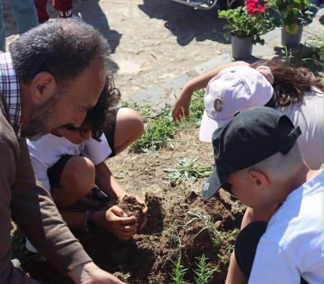 Δράση δεντροφύτευσης και καλλωπισμού
