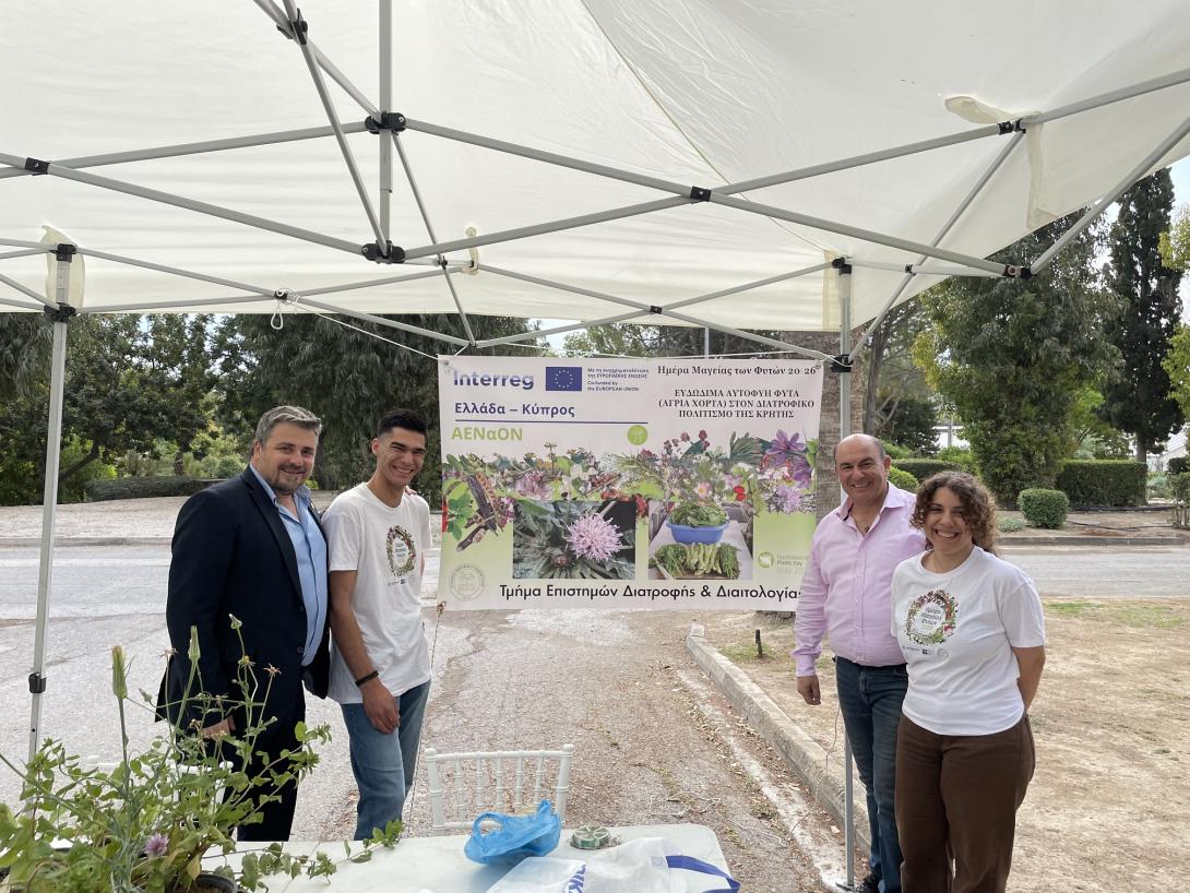 φυτά ελμεπα