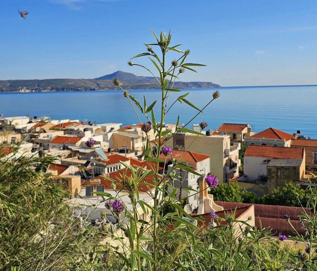 καλύβες
