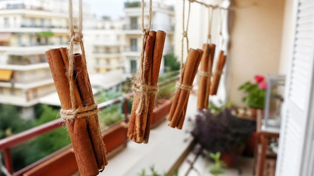κανέλα μπαλκόνι