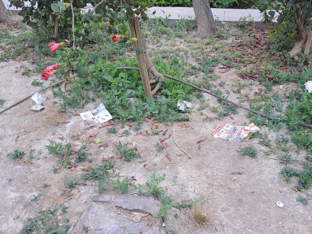 παρκο ευκαλυπτων ηρακλειο