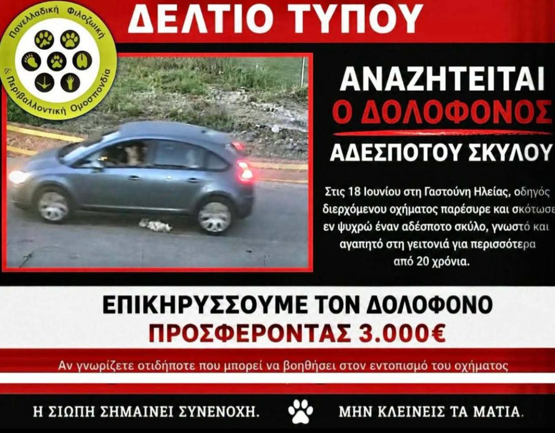 Γαστούνη