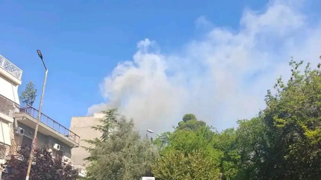Κορυδαλλός