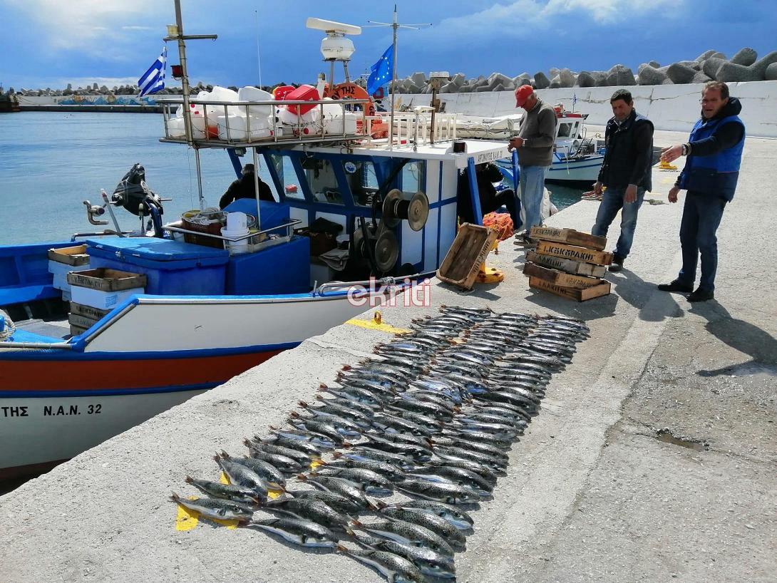 λαγοκεφαλοι