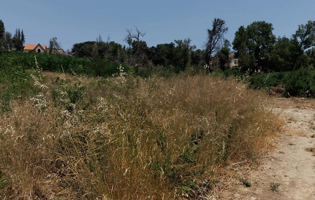 ακαθάριστα οικόπεδα