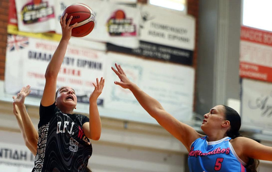 ofibasket