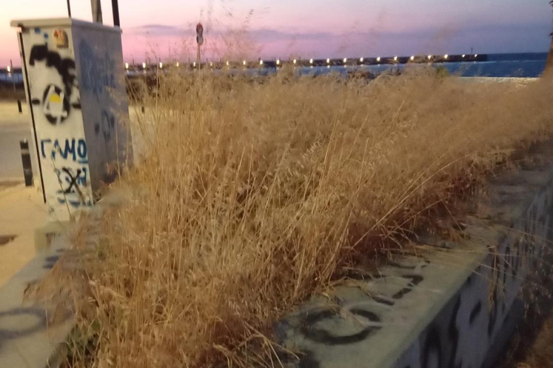 παραλιακή νέα αλικαρνασσός