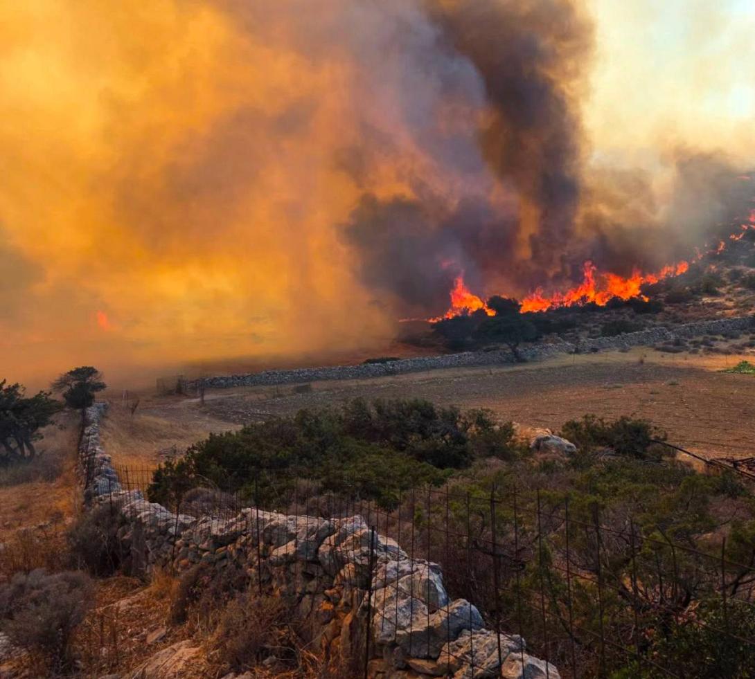 Άνδρος