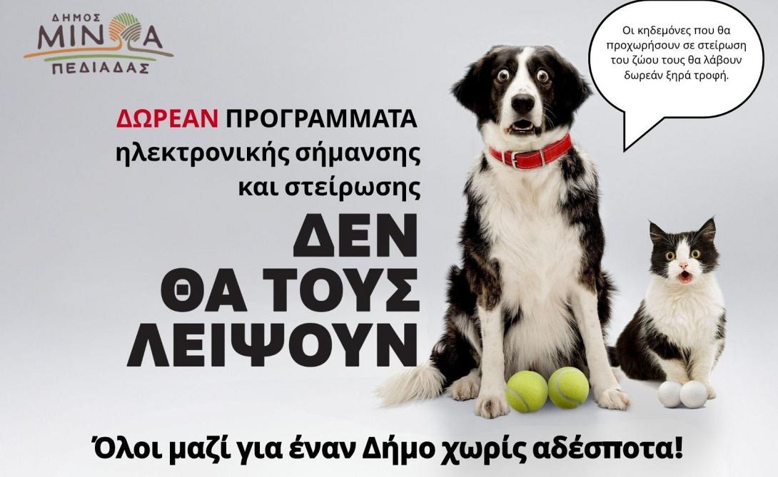 Αδέσποτα_ζώα 