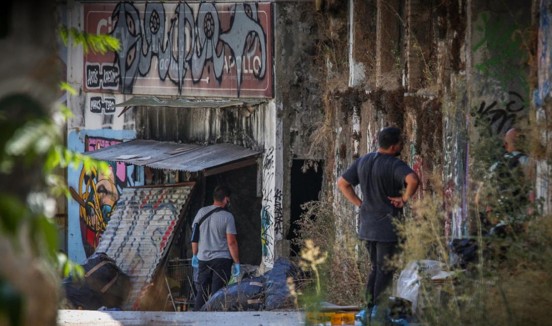  Κυψέλη