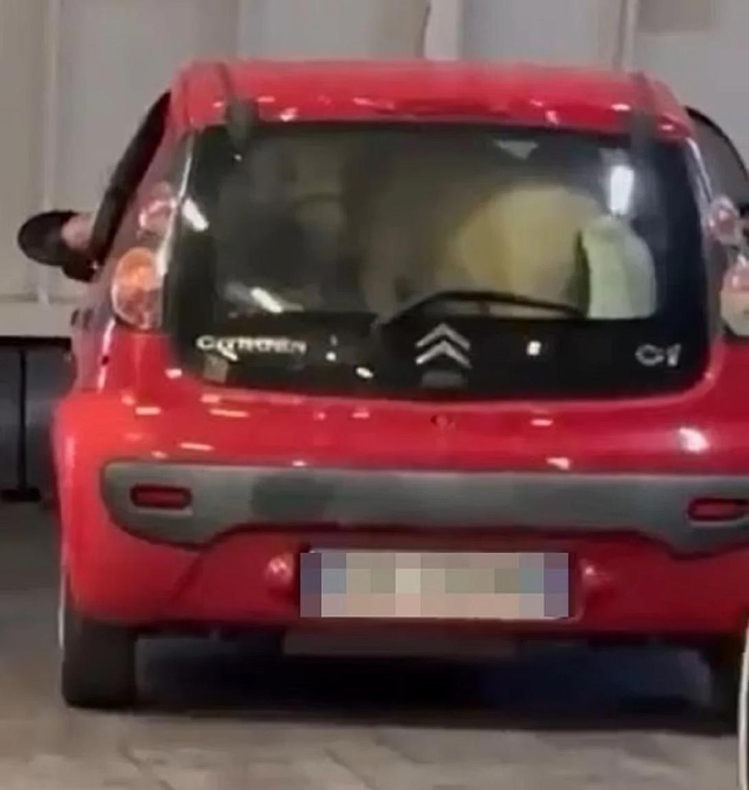 πονυ, καραβι