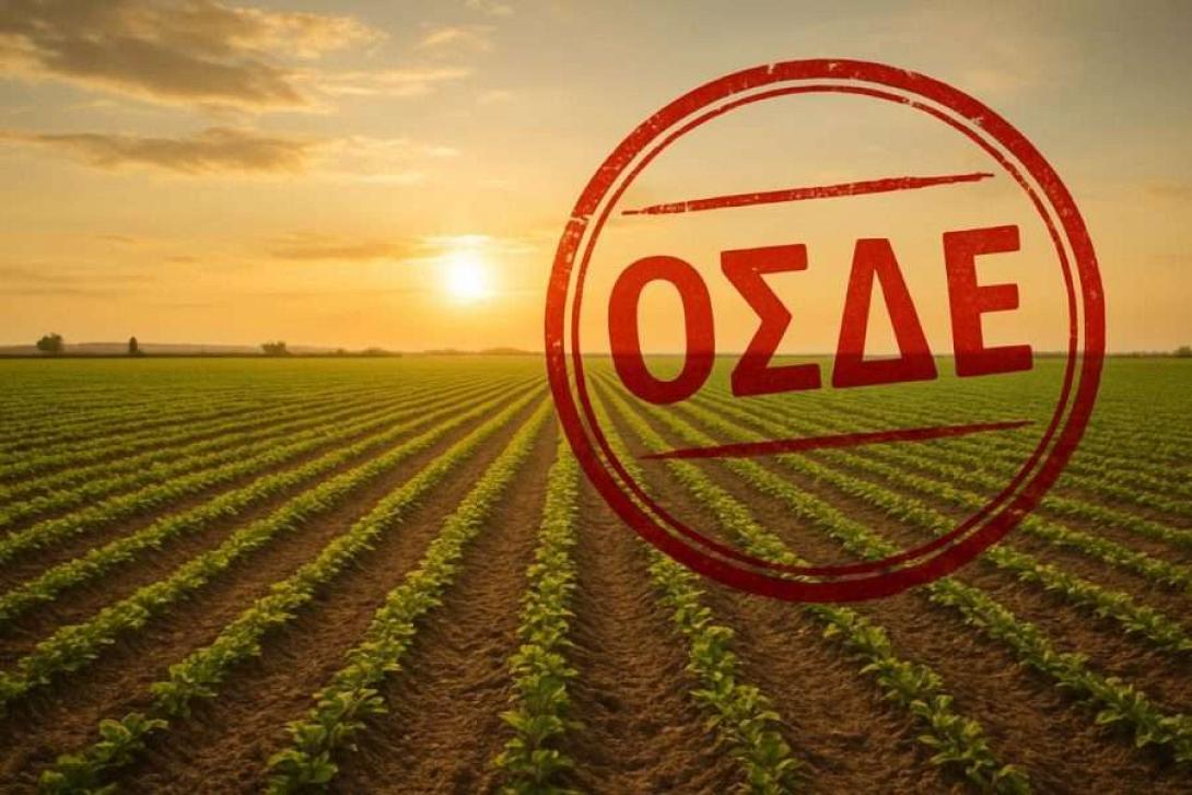ΟΣΔΕ