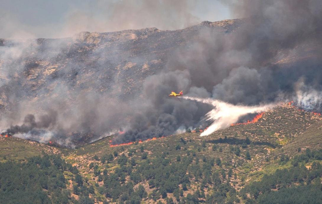 πυρκαγιά, νεκρός