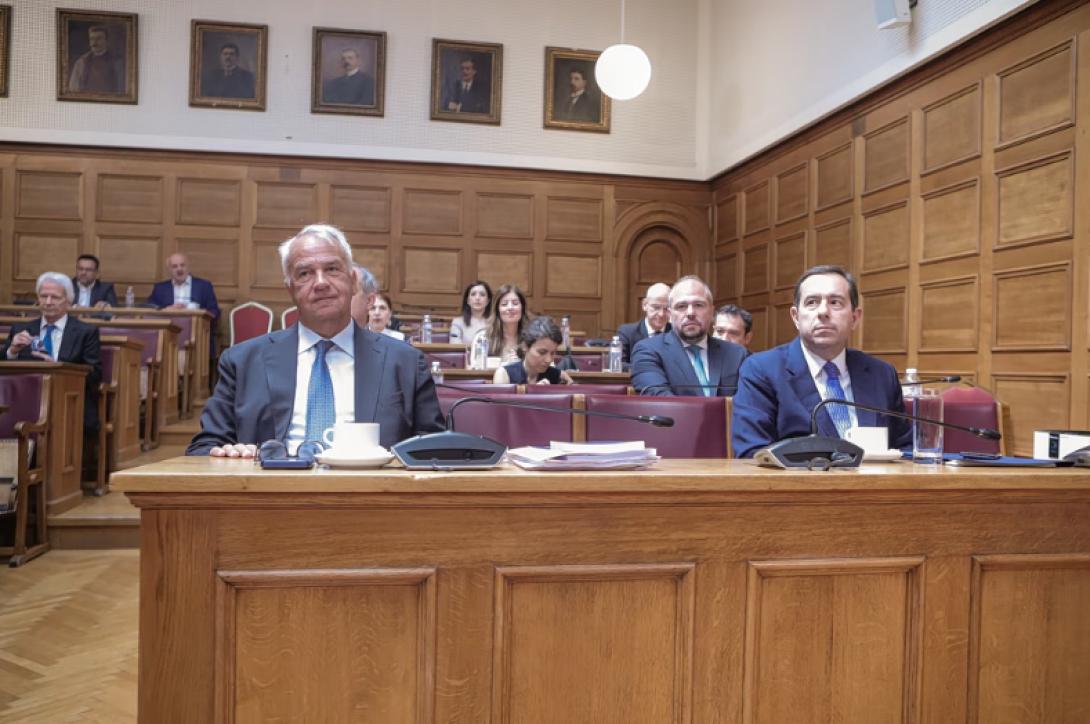 βορίδης επιτροπή