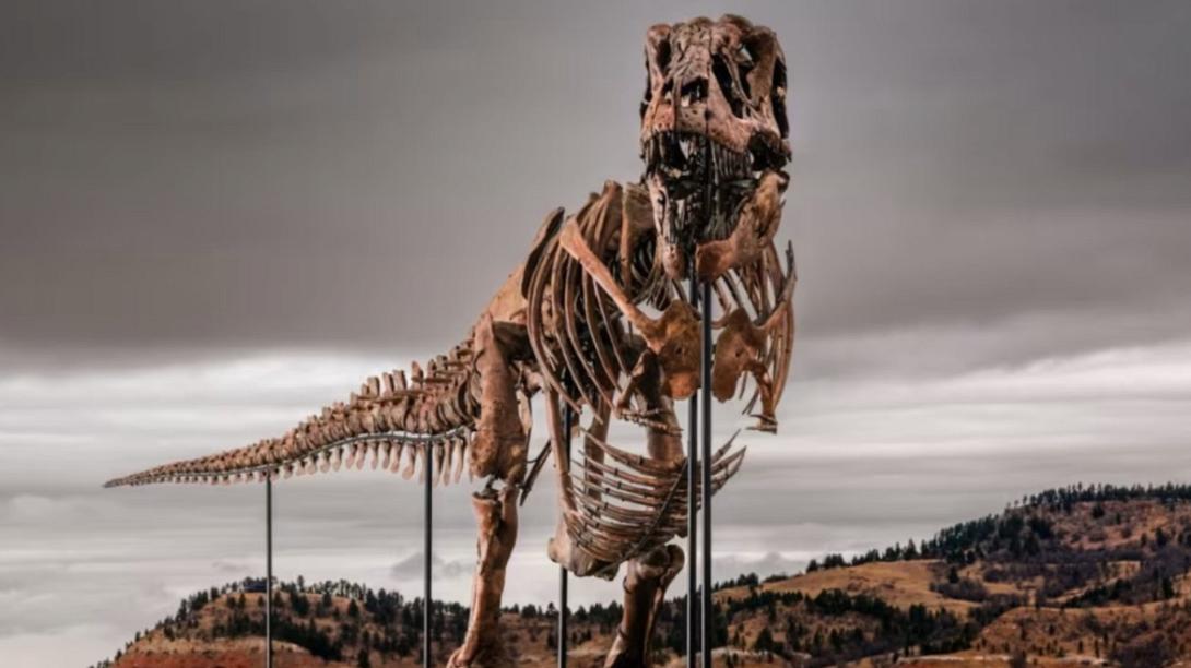 t-rex γκας