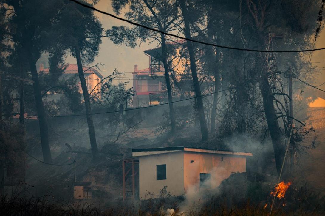 φωτιά Χαλκιδική 