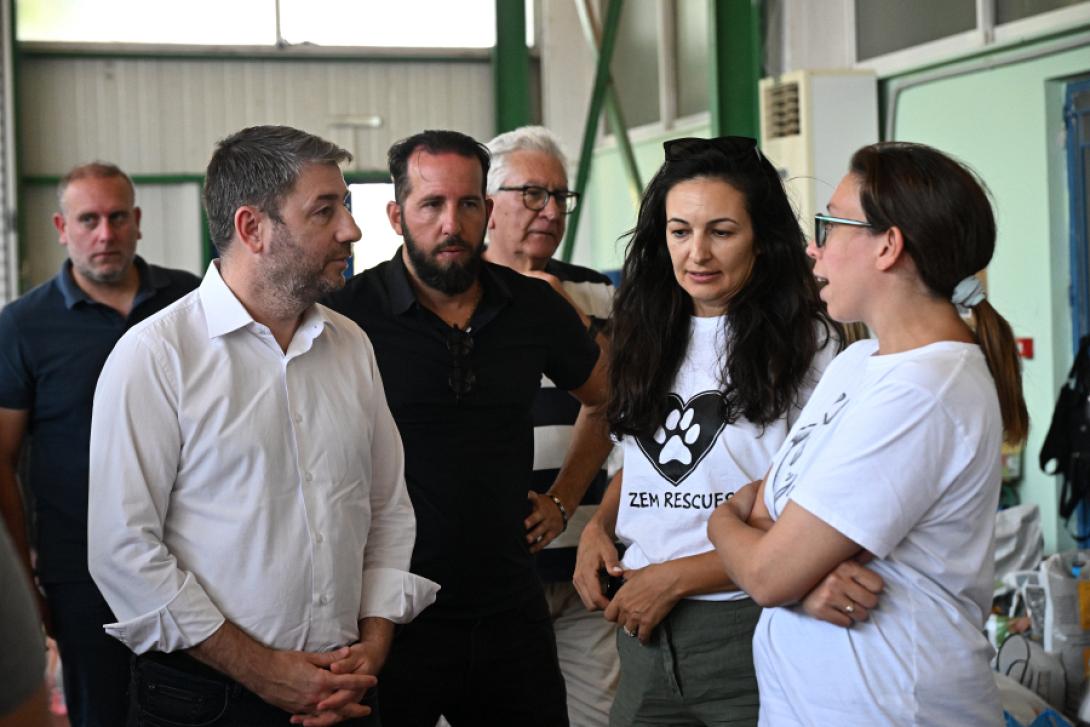 ανδρουλακης πυροπληκτα ζωα