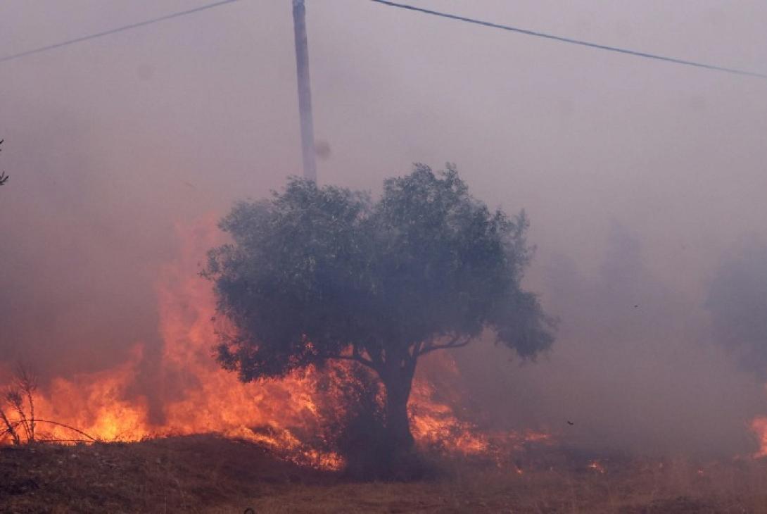 Πυρκαγιά Μέγαρα
