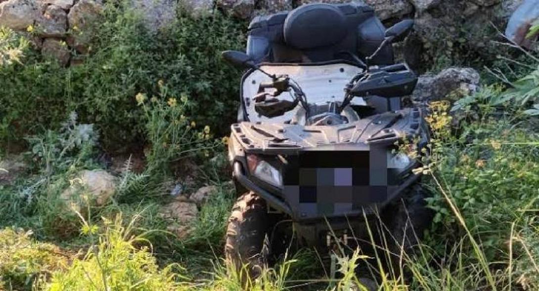 γουρουνα