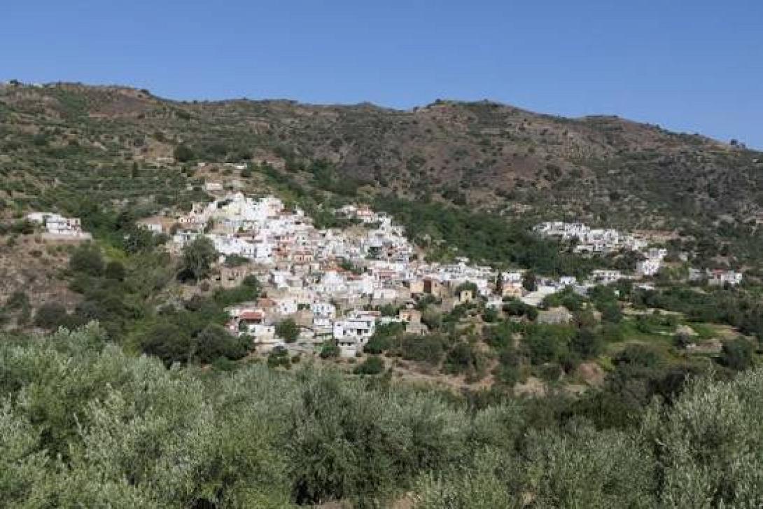 μεσα μουλιανα