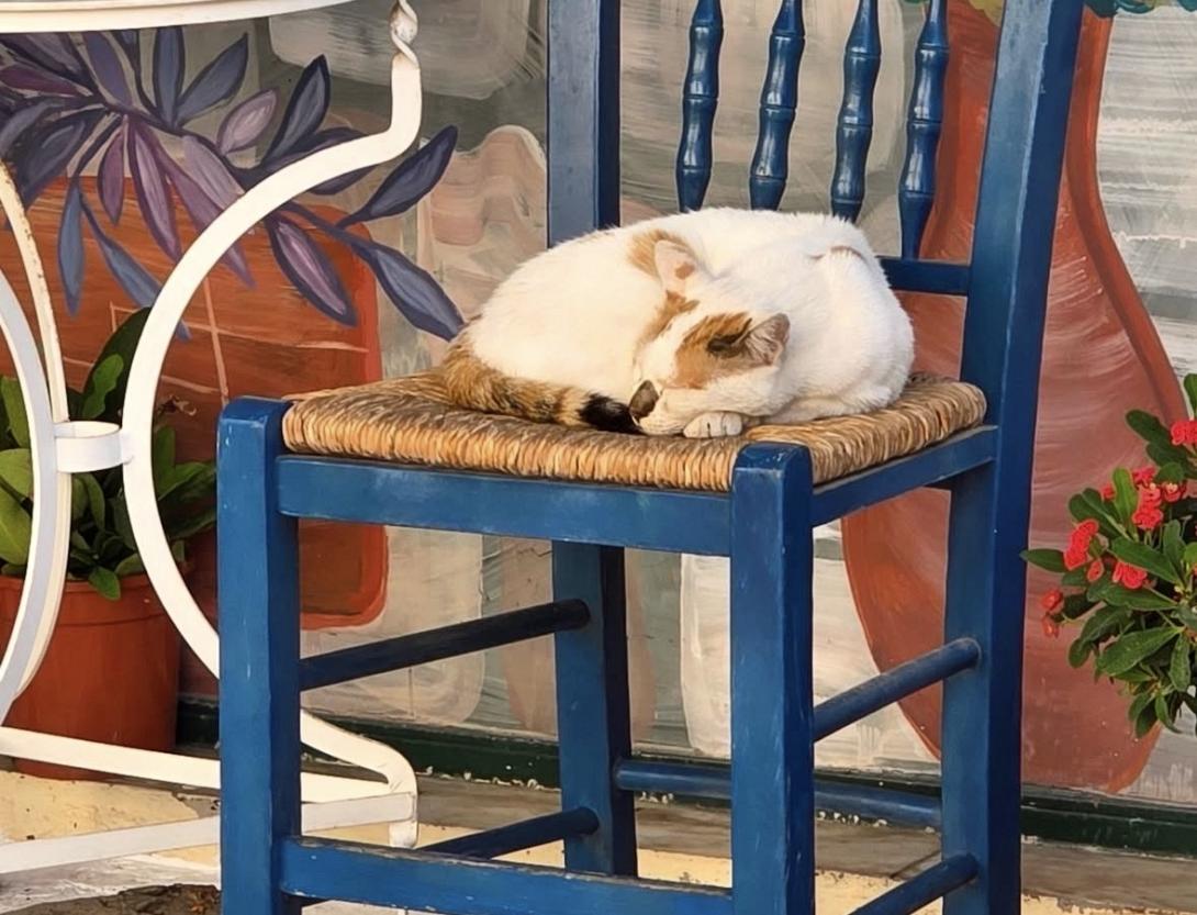 γα
