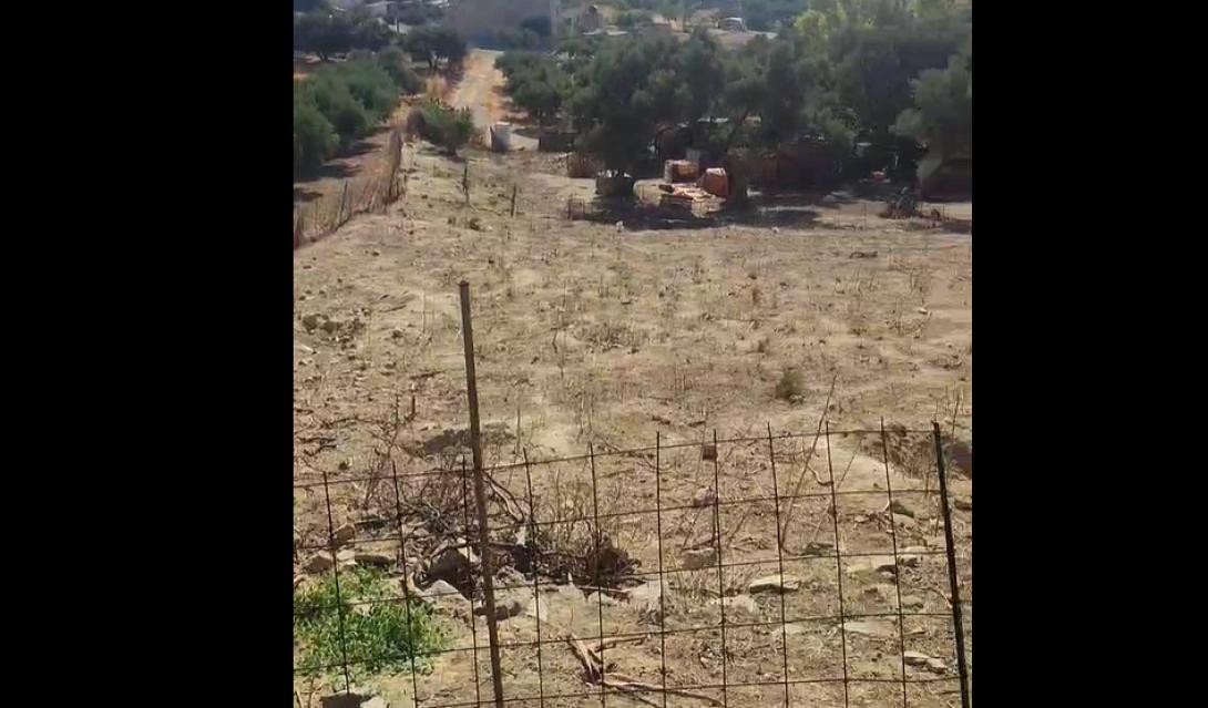 μαντρα