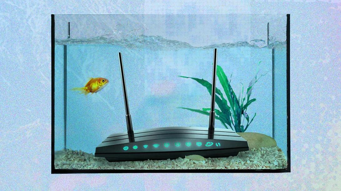 WIFI