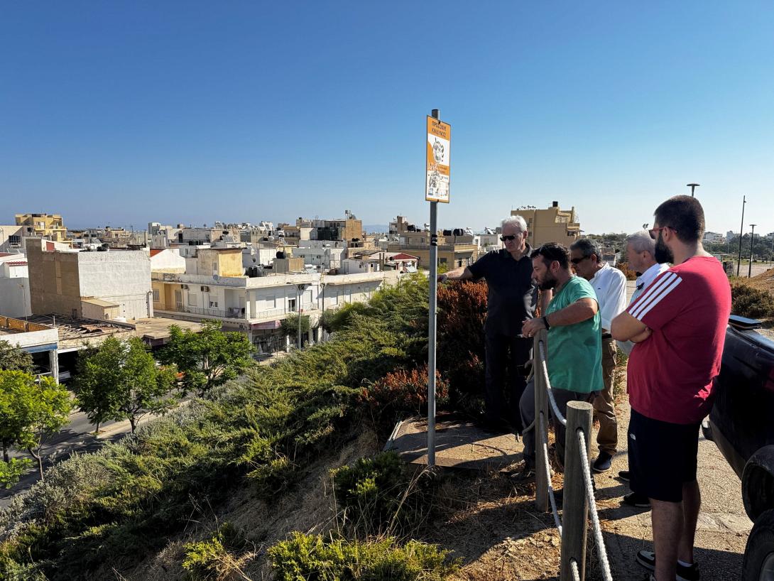 Αυτοψία Καλοκαιρινού