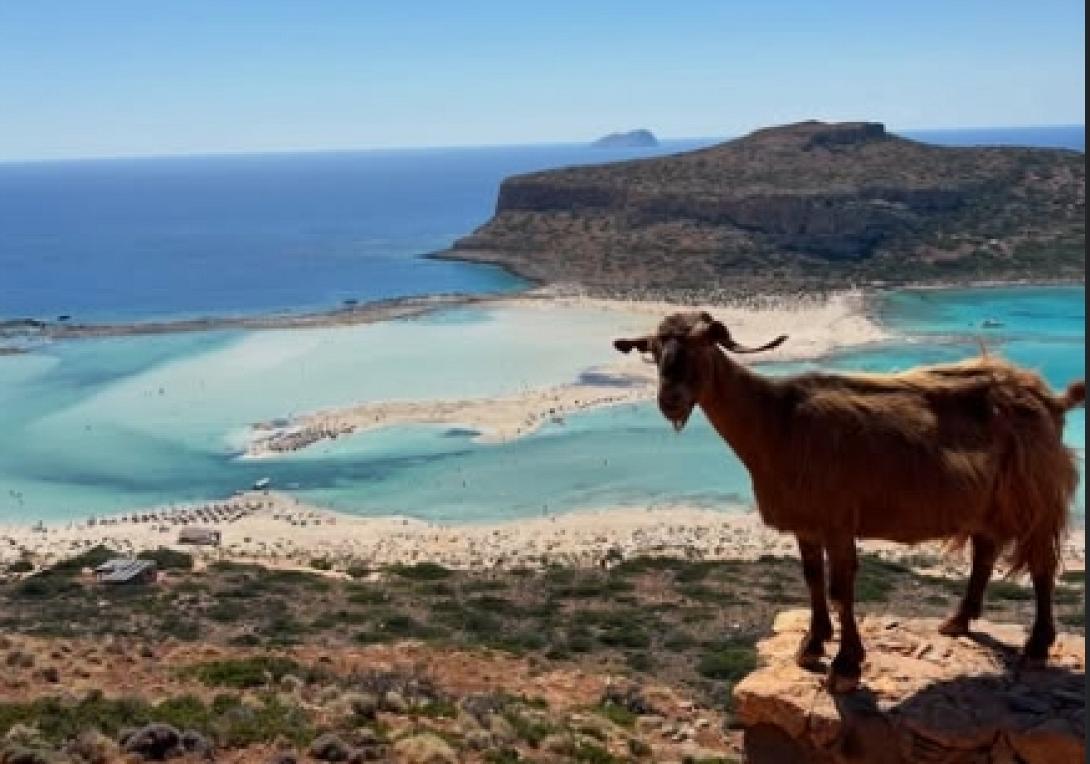 μπαλος