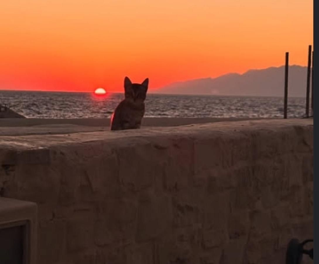ματαλα