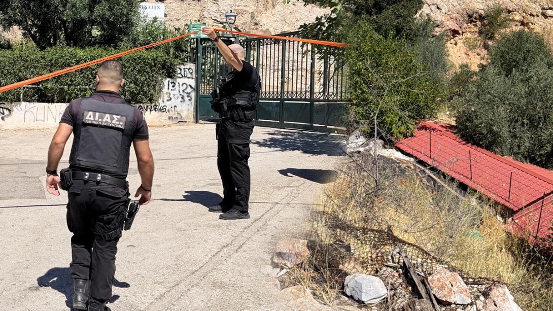 αστυνομια κυψελη