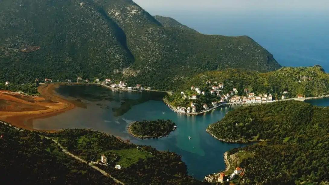 γέρακας λακωνίας
