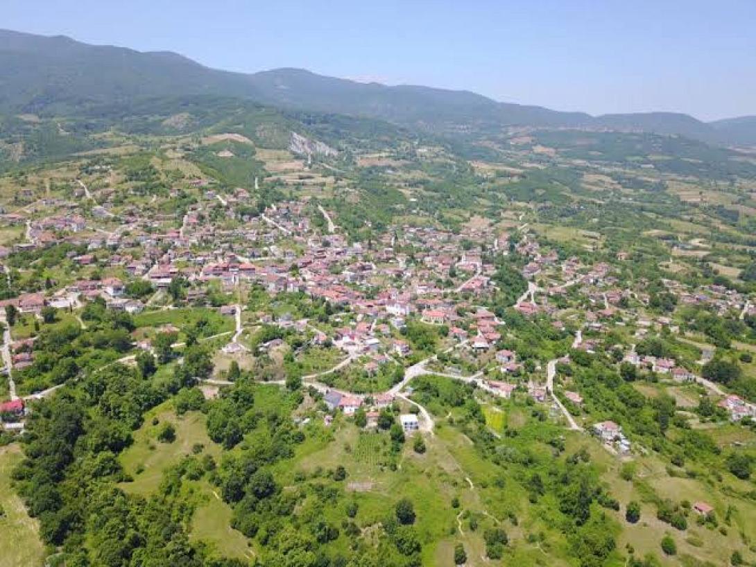 ρητίνη πιερριας