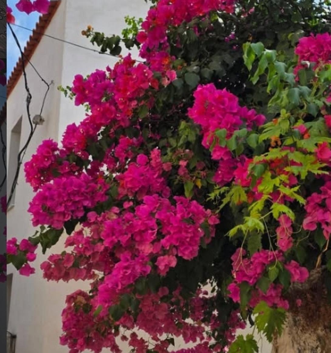 καλύβες