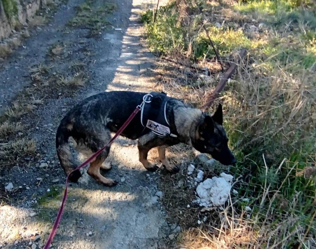 Εντόπισαν 10 ύποπτα δολώματα 