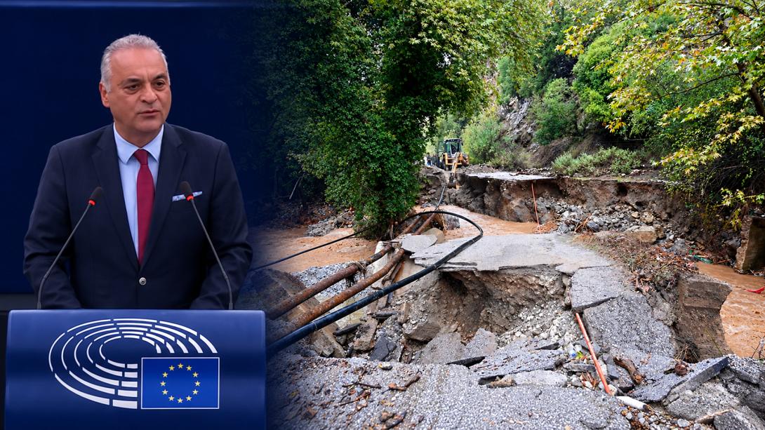 κεφαλογιαννης μανωλης 