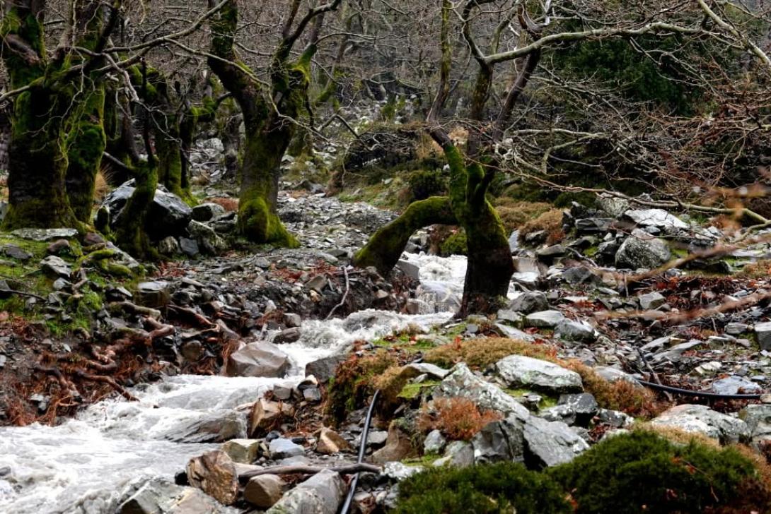 φαραγγι αγιας ειρηνης καντανος