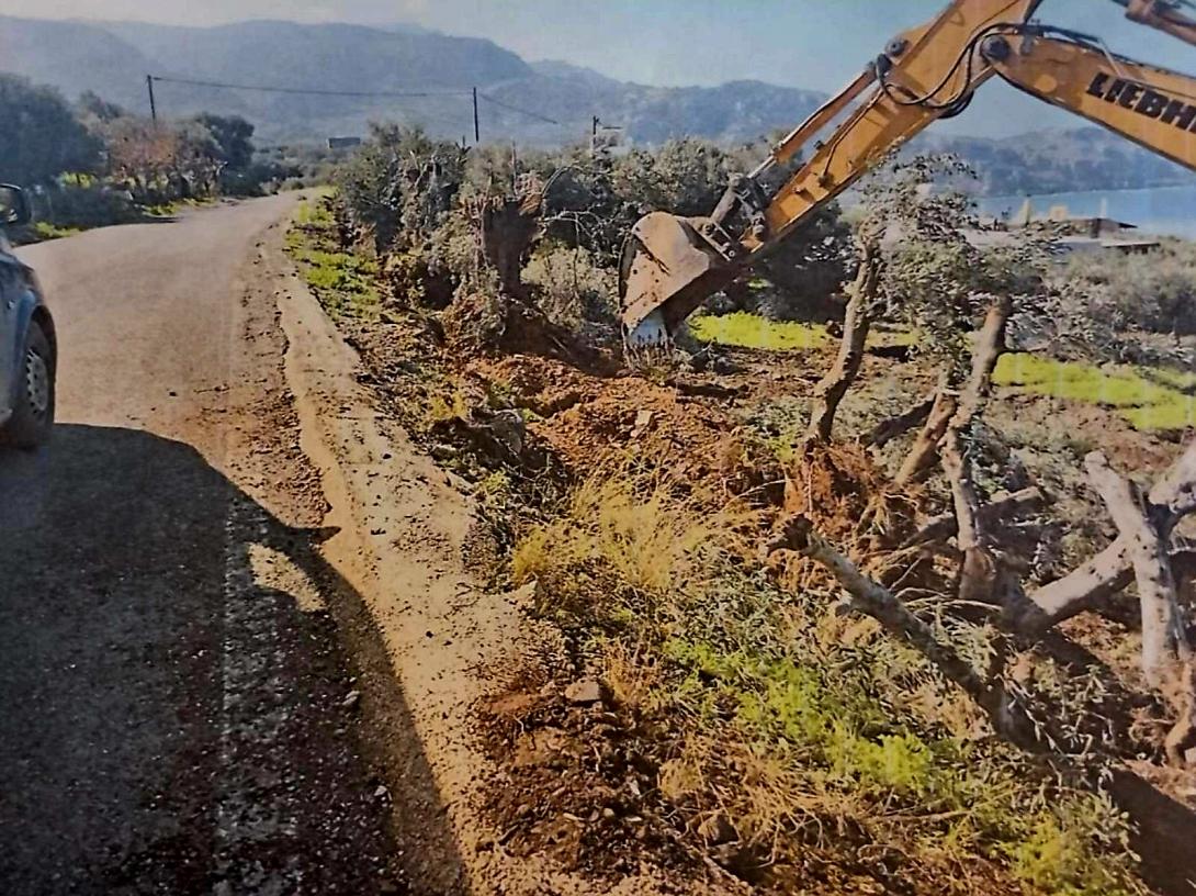 ΠΛΑΤΑΝΟΣ ΣΦΗΝΑΡΙ