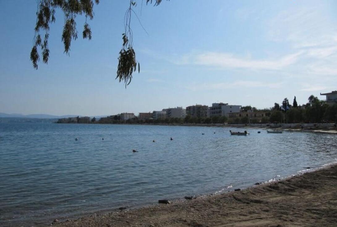 ΛΕΥΚΑΝΤΙ