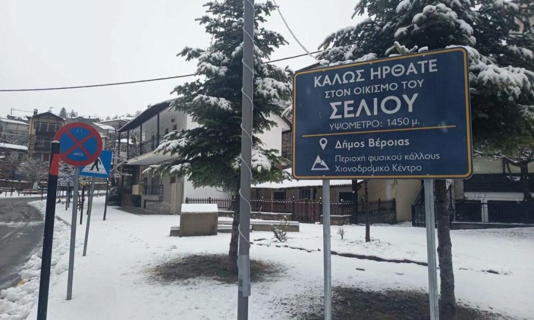 Σέλι