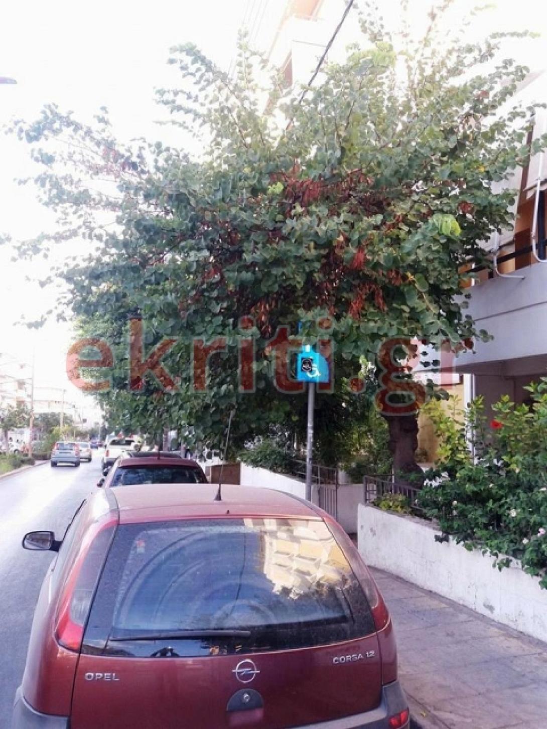 ΑΜΕΑ Μίνωος 1
