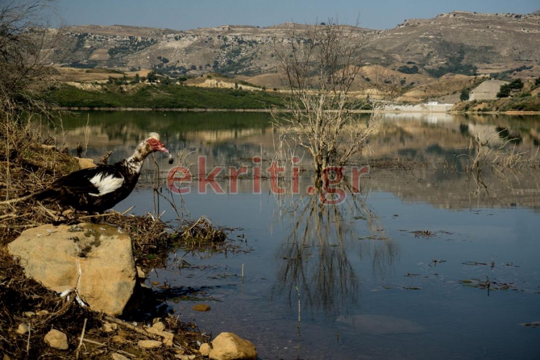 φράγμα ποταμών 4