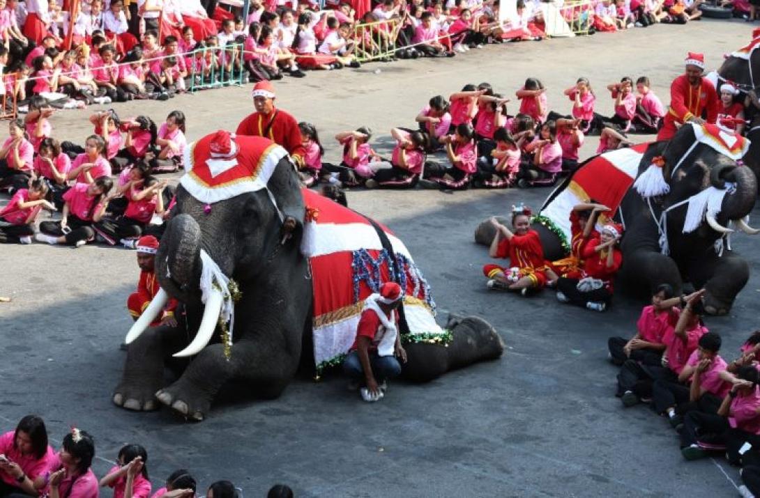 Ελέφαντες ντυμένοι Άι-Βασίληδες  .jpg