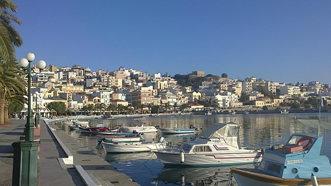Δ.Σητείας :Από 3 Νοεμβρίου η διάθεση φυτωρίων στη Φοινικιά Ηρακλείου