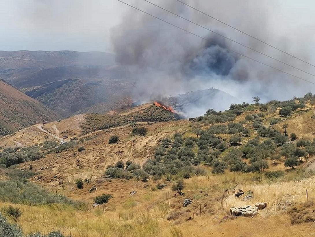 φωτιά μούστακο