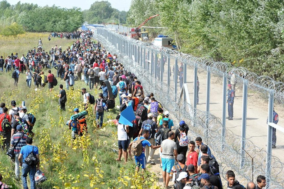 build_a_giant_fence.jpg