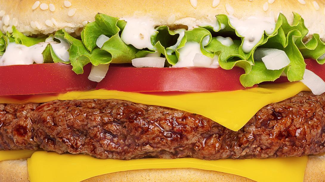 -hamburger.jpg