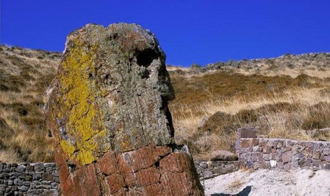 3753_apolithwmeno-dasos.jpg