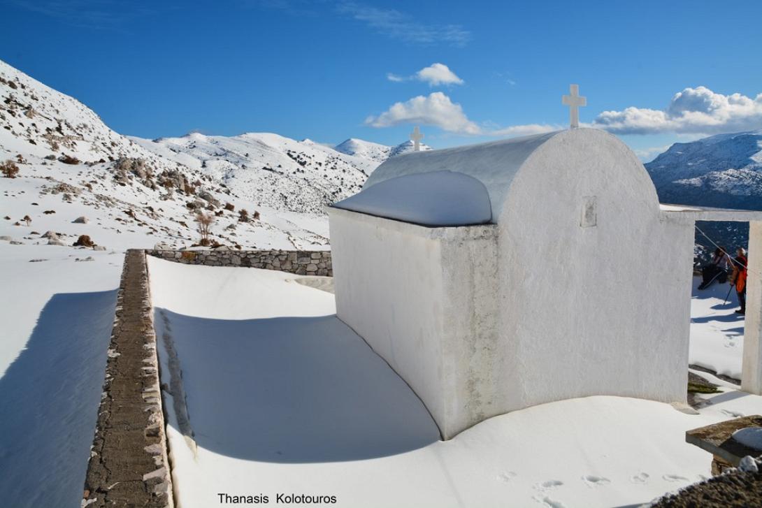 Σελένα